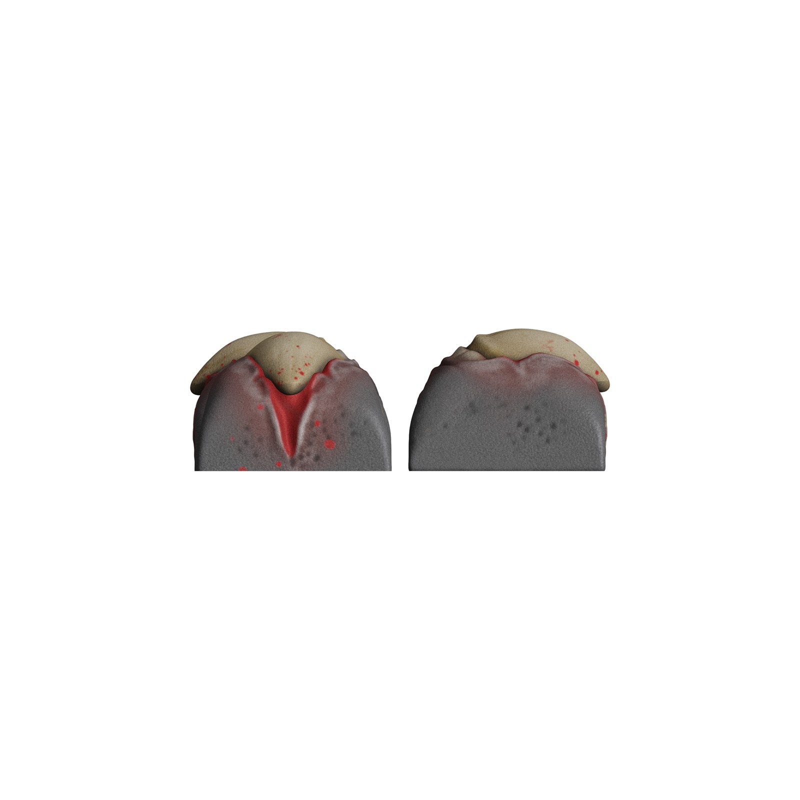 HX3D Movement Set - Werewolf - Image 6